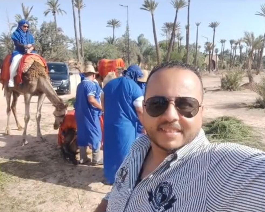Casablanca to Marrakech Day Trip with Camel Ride at palmeraie